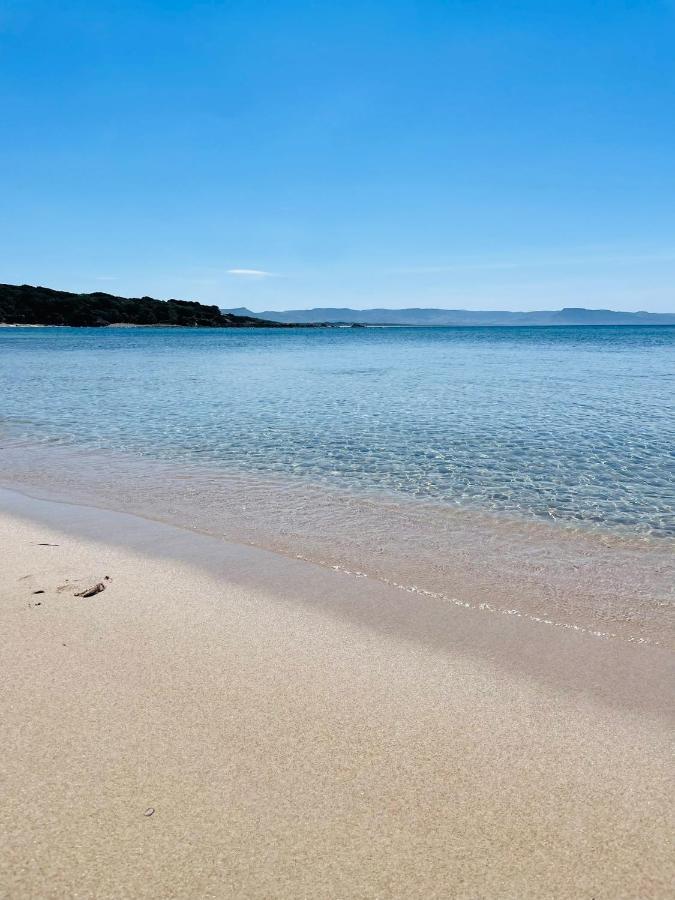 Zaffiro Casa Vacanze Al Mare Валледория Экстерьер фото